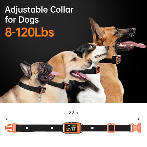 AKUVU Animal Collar in 27 inches, Orange