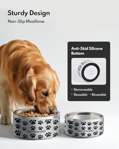 HomeRunPet Pet Feeder in 32oz, Paw Print
