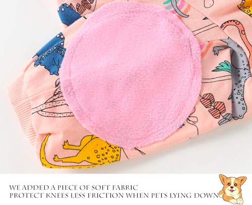 PriPre Pet Apparel in Small, .Blue Pink