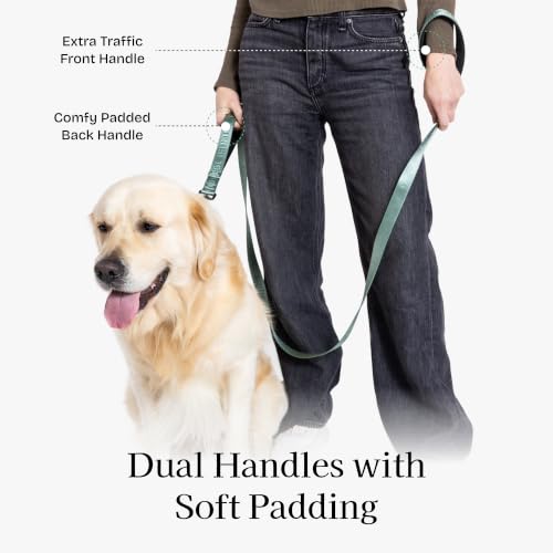 Fei and Eve Leash in 4FT, Glacier Green