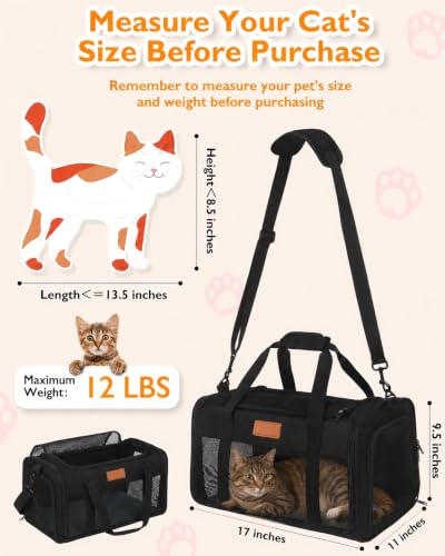 Petux Animal Carrier in 17.0"L x 11.0"W x 9.5"H, Black