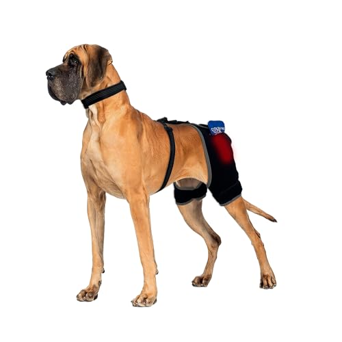 LISPOO Pet Supplies in M, Black