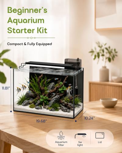 minilake Vivarium in 10 Gallon, Black
