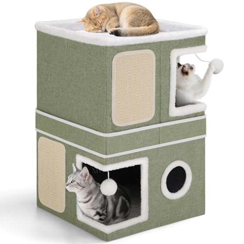 Shikha Animal Shelter in Double, Green