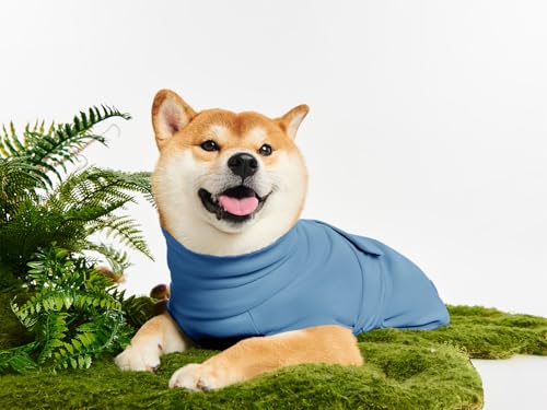 Haloumoning Pet Apparel in X-Small, Blue