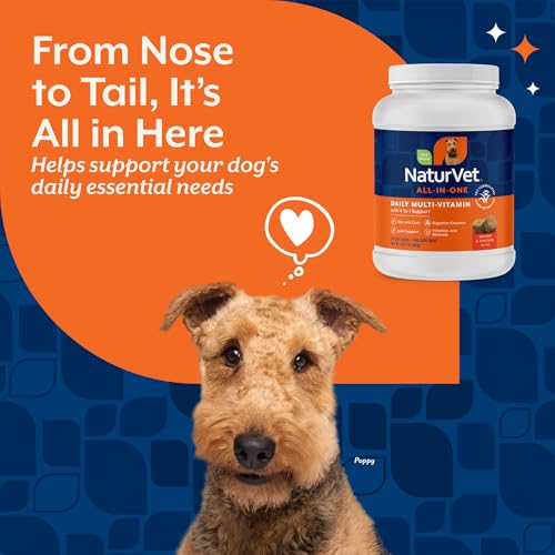 NaturVet Animal Vitamin in 240 Soft Chews, All-In-One