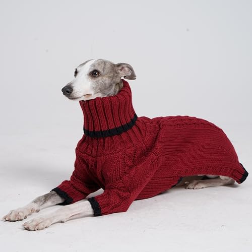 ESCCBOO Pet Apparel in Medium, Red