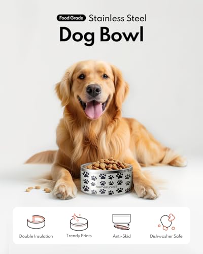 HomeRunPet Pet Feeder in 32oz, Paw Print