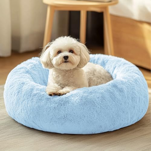 JOLLYVOGUE Pet Bed Mat in 20", Light Blue