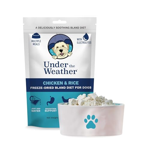 Under the Weather Pet Food in 6 Ounce (Pack of 1)