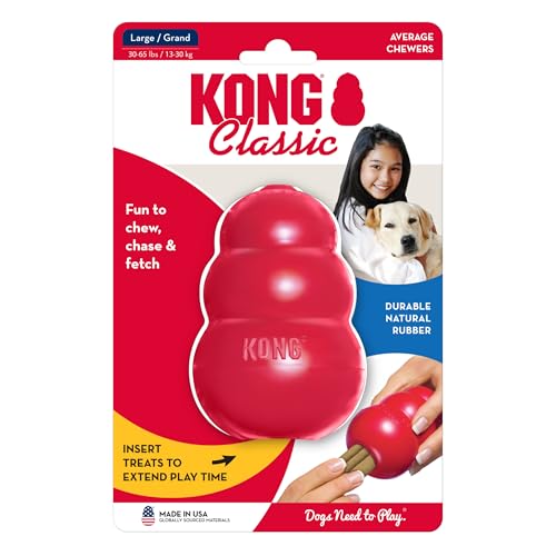 KONG Pet Toy in Large (Pack of 1), Red