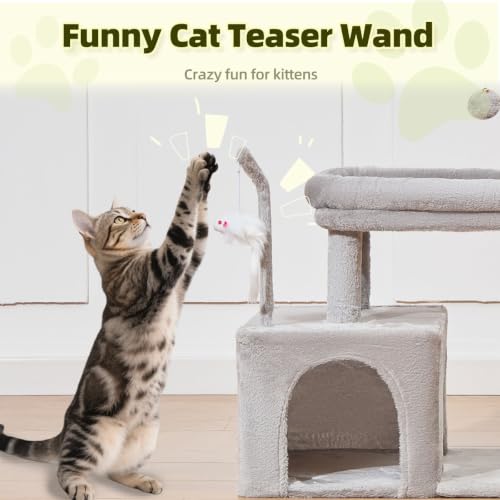 Taoqimiao Pet Activity Structure in L, Light Gray