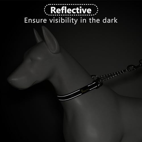 PLUTUS PET Animal Collar in Small, Black