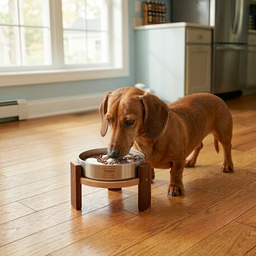 Feedoo Pet Feeder in 4'' Height Stand, 4" Height 1Cup Slow Feeder