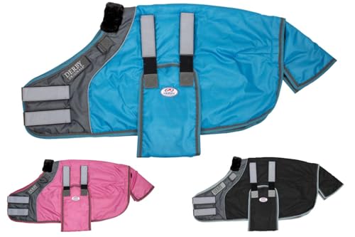 Derby Originals Pet Apparel in Large (42”-48"), Hurricane Blue