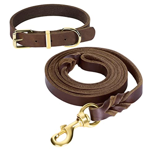 Guiding Star Leash in X-Small, Brown