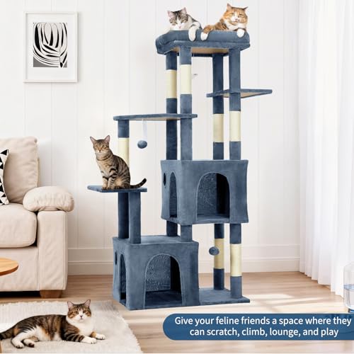 OUTLANE Pet Activity Structure in Light blue, Light Blue