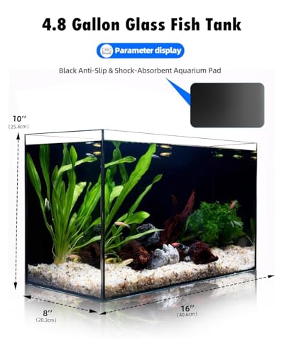 minilake Vivarium in 5 Gallon, Black