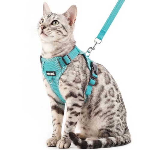 pangdi Pet Supplies in Small, Turquoise