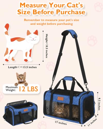 Petux Animal Carrier in 17.0"L x 11.0"W x 9.5"H, Blue