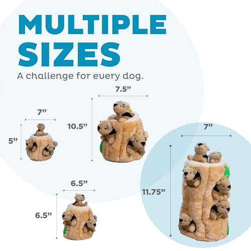 Outward Hound Pet Toy in X Large (Pack of 1), Squirrel Xlarge