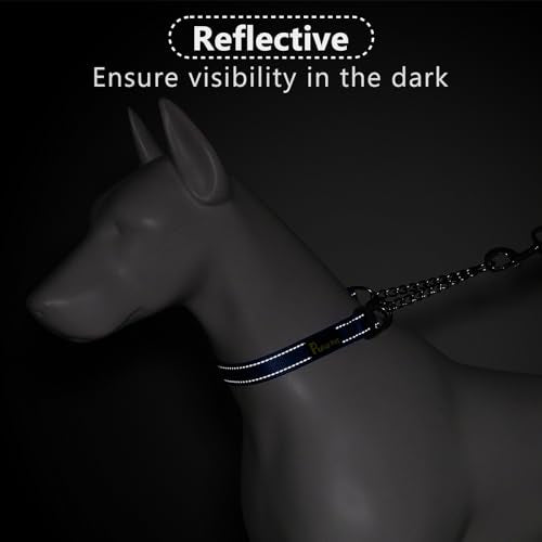 PLUTUS PET Animal Collar in Small, Royal Blue
