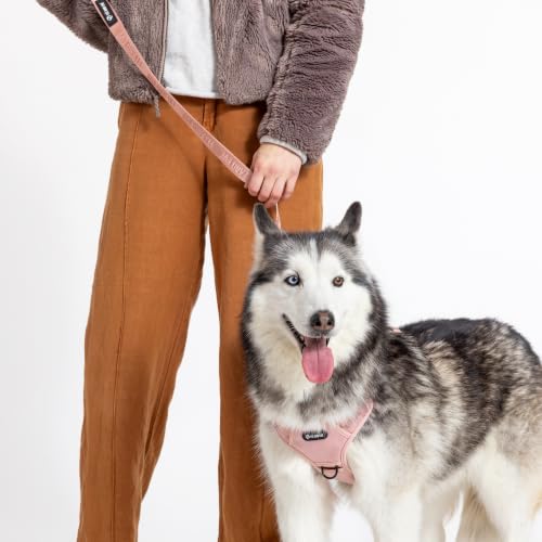 Fei and Eve Leash in 4FT, Blush
