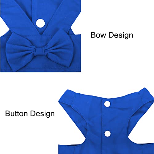 apott Pet Apparel in Small, Blue