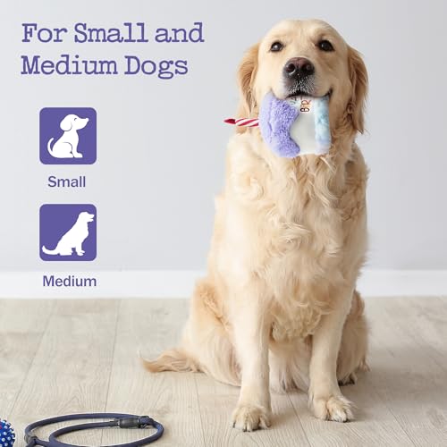 Fuzzwoof Pet Toy in Small Medium Large, Purple, white