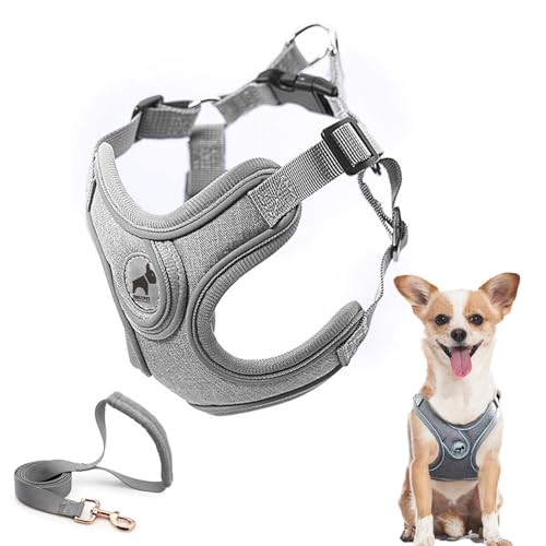 SAEGYPET Animal Harness in XS, Gray