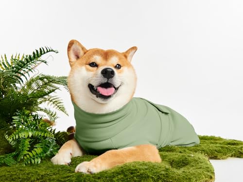 Haloumoning Pet Apparel in X-Small, Army Green