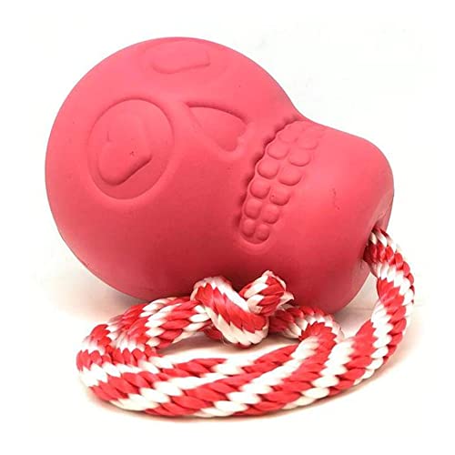 SodaPup Pet Toy in Large, Orange