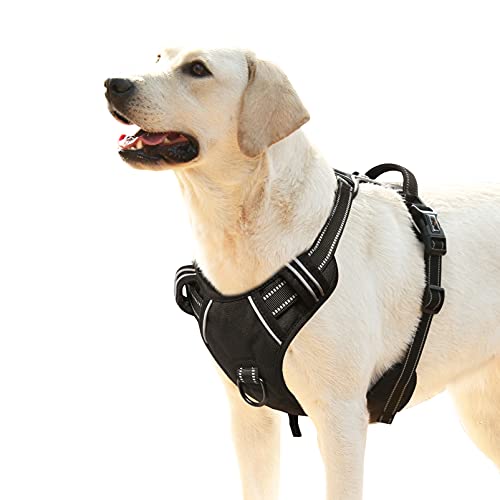 HEELE Animal Harness in L, Black