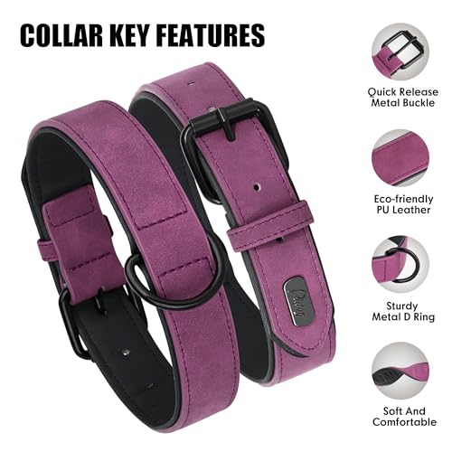 Didog Animal Collar in M: Fit Neck 11-14"(10-20 lbs), Purple
