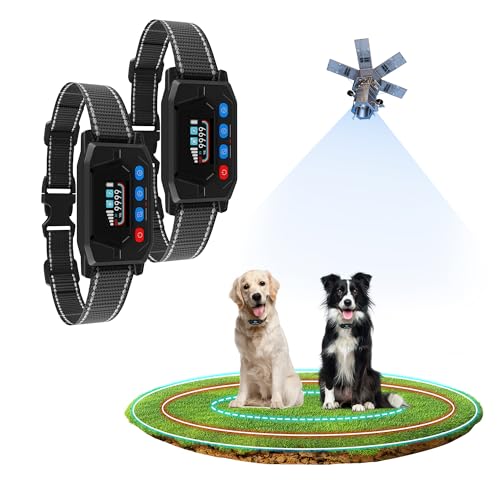 PUPKIDS Animal Collar in Black