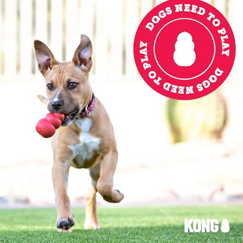 KONG Pet Toy in Small (Pack of 1), Red