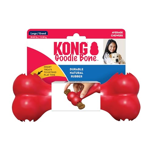 KONG Pet Toy in Large (Pack of 1), Red