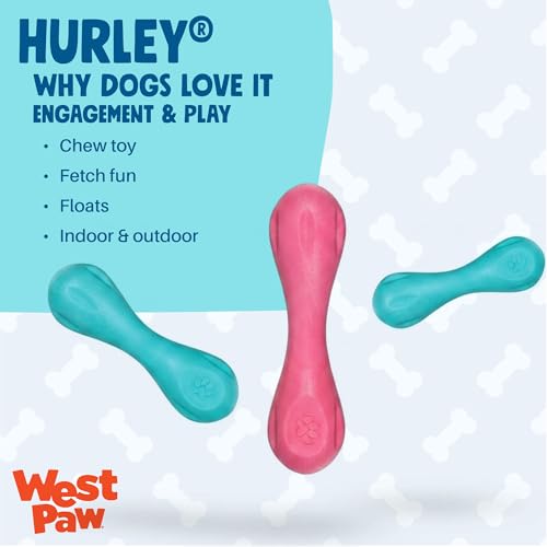 WEST PAW Pet Toy in Large, Teal