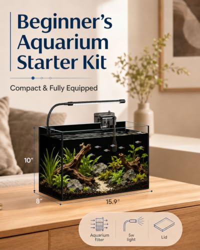 minilake Vivarium in 5 Gallon, Black