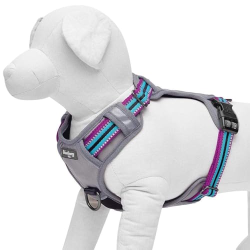 Blueberry Pet Animal Harness in Small, Violet and Celeste