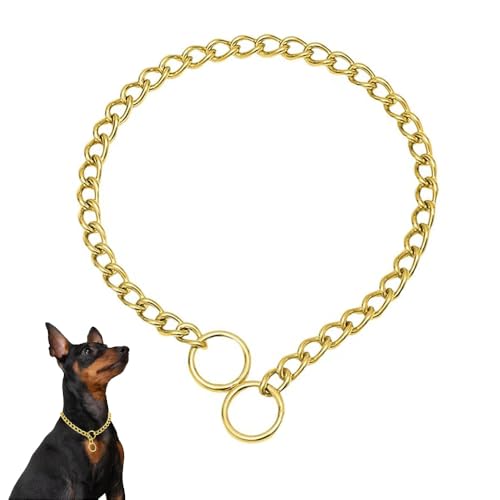 Weimostar Animal Collar in XS(Neck Max 12inch)D2.0mm, Gold