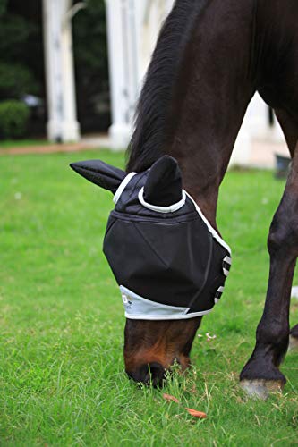 T TEKE Pet Pest Control in Cob, Black