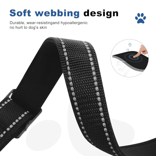 GDLKPS Animal Collar in XS:3/4" Wide for 11.5"-13.5" Neck, Black