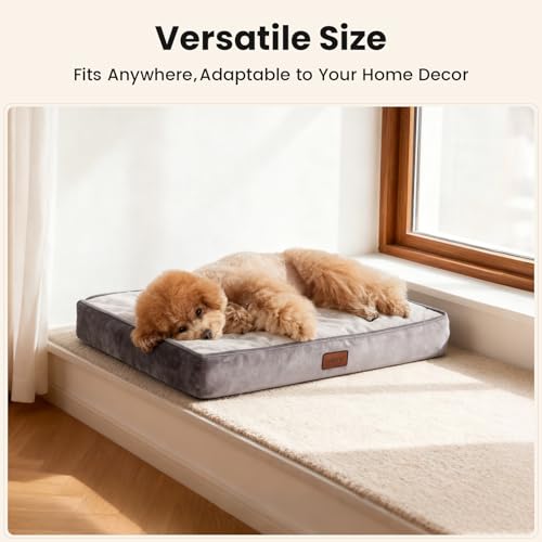OhGeni Pet Bed Mat in 24"x 16"x 3” (For Sprawling), 01-Gray