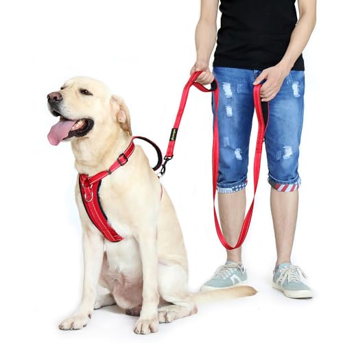 PLUTUS PET Leash in 6 FT, Red