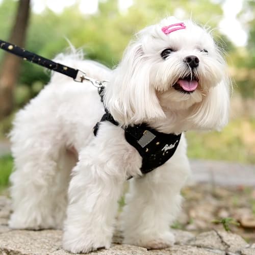 PUPTECK Animal Harness in XS (9-13lbs, Chest 14"-16"), #1 Blue(Breathable Mesh)