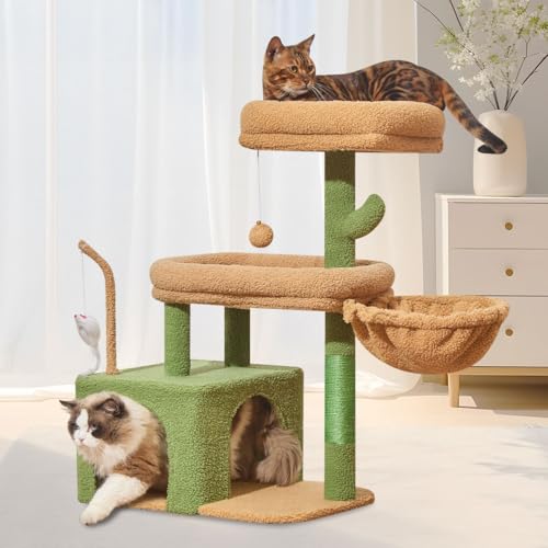 Taoqimiao Pet Activity Structure in L, Cactus