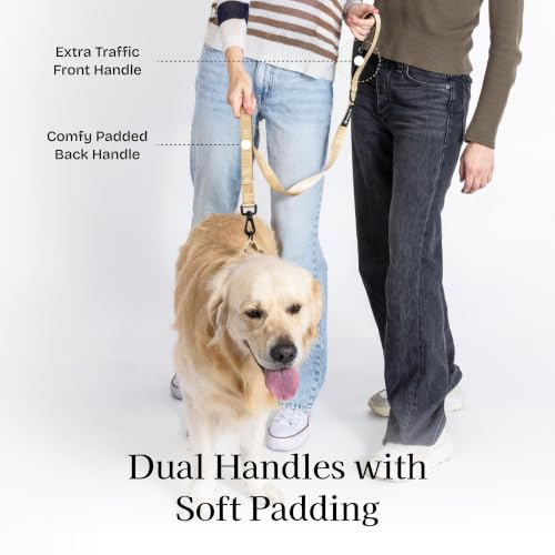 Fei and Eve Leash in 6FT, Champagne