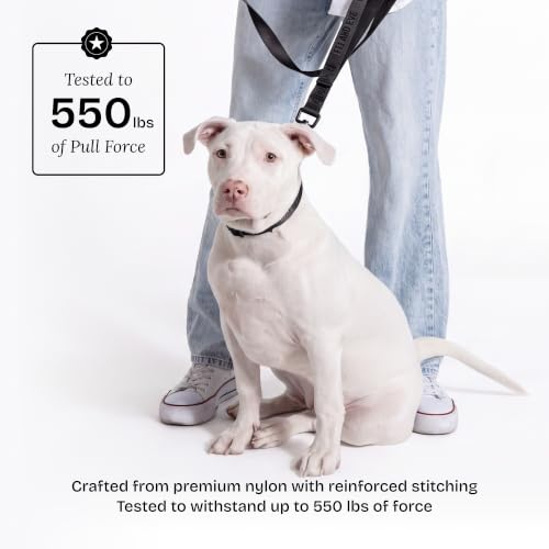 Fei and Eve Leash in 6FT, Black