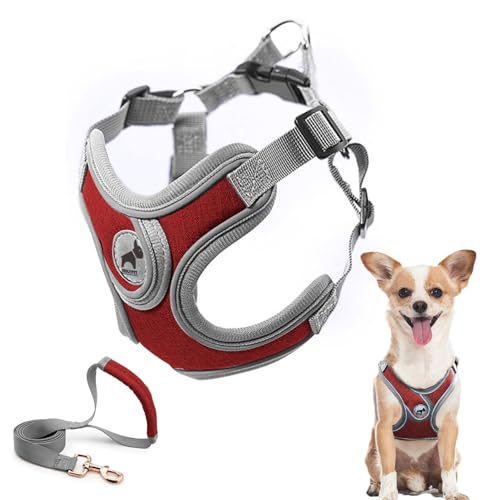SAEGYPET Animal Harness in XS, Red
